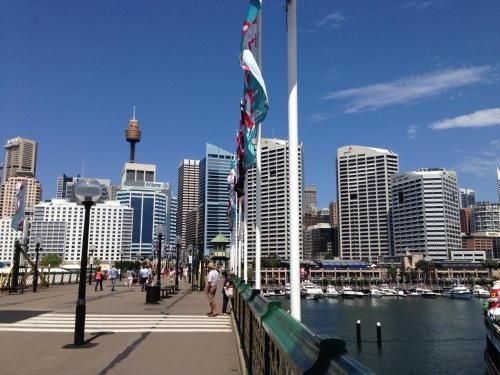 Walk to the city, Fish Market, Darling Harbour4