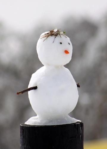 Mt Buller Apartment Rentals3