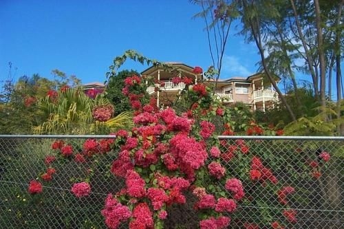 Tranquill Garden Hideaway1