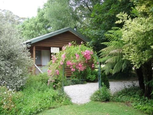 RiverCottageGoldberry-selfcontained0