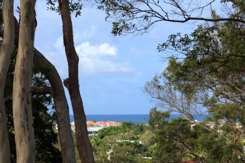 Macquarie Lodge Noosa Heads4