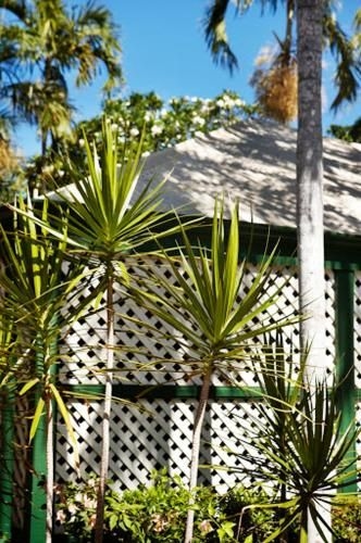 Pinctada McAlpine House4