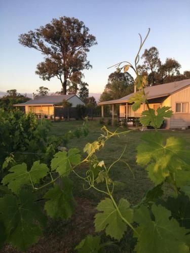 Emma's Cottage Vineyard0