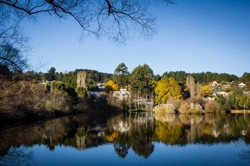 Chestnut Daylesford2