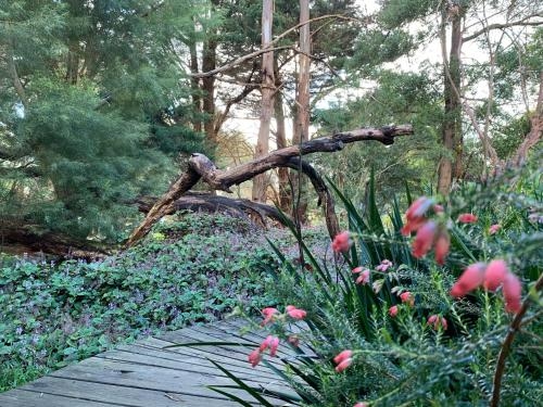 Tindoona Cottages0