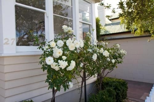 Strahan House3