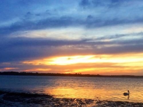 Tarraloo - Iluka NSW1