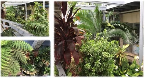 Coffs Shearwater Motel1