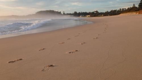 The Ridge Retreat at Mollymook2