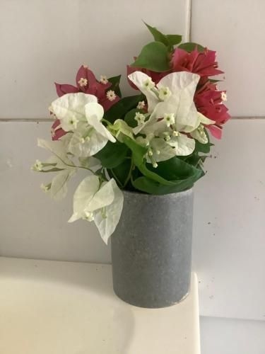 Corella Creek Country Farm Stay3
