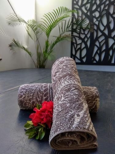 Kiwarrak Country Retreat2