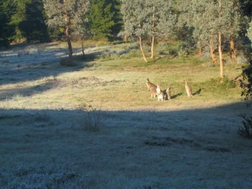 Riversdale Retreat1