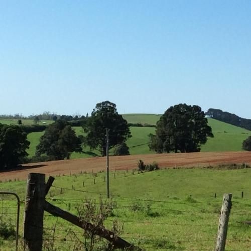 Windrush BnB - Comboyne Australia4
