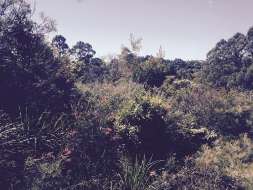 Tallaringa Views3