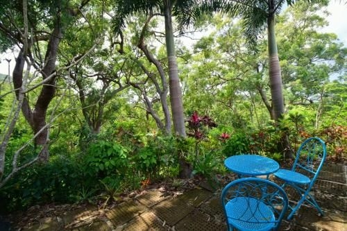 Cow Bay Hilltop Escape4