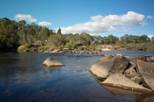 The Saddle Camp Tiny House Braidwood1
