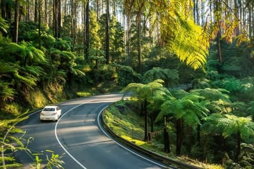 Lithgow Falls Marysville3