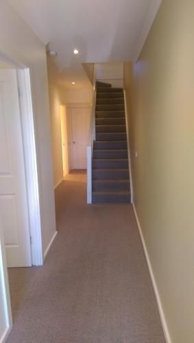 Gilles St Apartments2