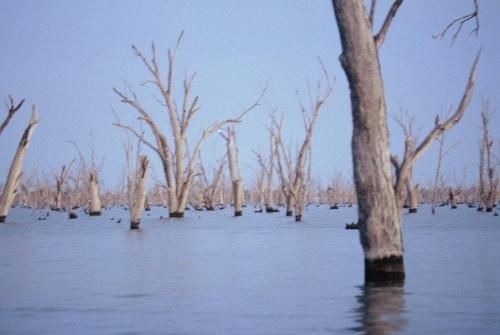 The Yarrawonga Hotel3