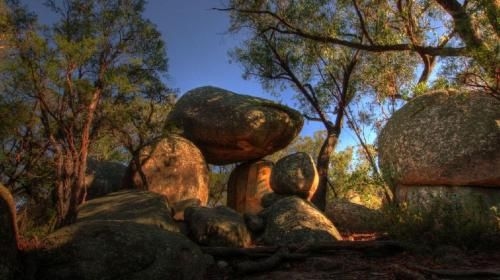 Girraween Environmental Lodge1