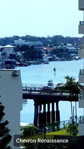 Gorgeous Riverview Apartment Chevron Renaissance3