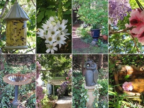 Lemon Tree Cottage2