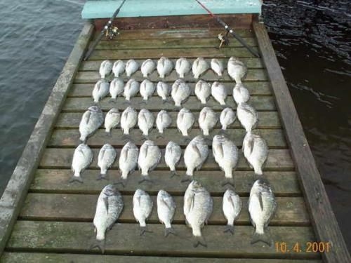 Bayview Boathouse4