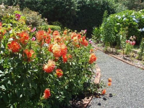 Boat Harbour Garden Cottages0