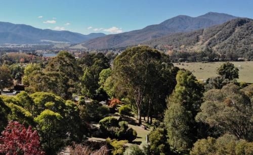 Kiewa Country Cottages2