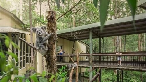 Springwood meditation vacation center0