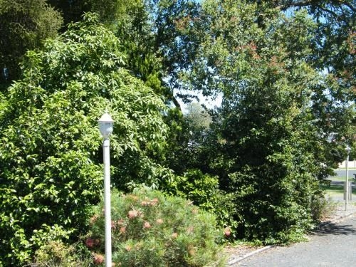 Bega Caravan Park3