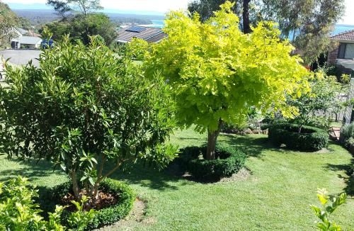 Jervis Bay Blue - Vincentia3