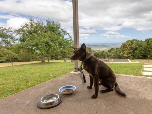 Captain's Lookout - elevated ocean views, rural stay (Captain's Lookout - elevated ocean views rural stay)1
