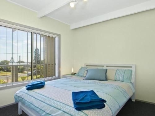 Dolphin Breeze - fully fenced and pet friendly2