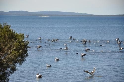 Denmark Waters B&B0