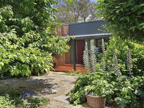 Lovett - quirky, stylish with a bush backdrop (Lovett - quirky stylish with a bush backdrop)2