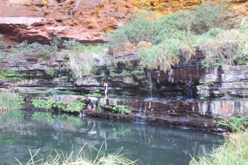 Tom Price Tourist Park1