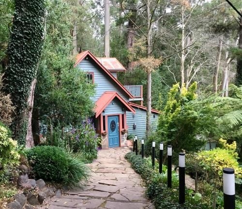 Wild Orchid Olinda4