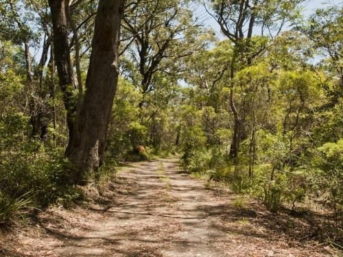Riverbend - 5 acres only 9km to village1