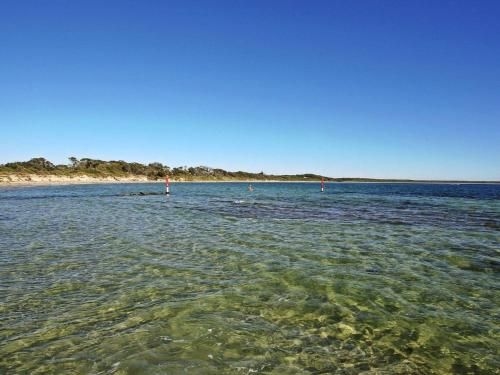Seahorse - beach just 550m from house4
