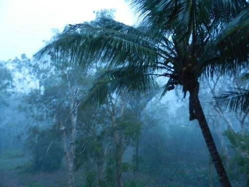 Oskar's Rain Forest Retreat4