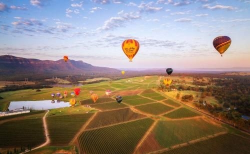 Coal d' Vine VIEW - Cessnock NSW2