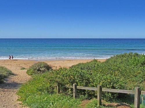 The Penguins Head - across from the beach4