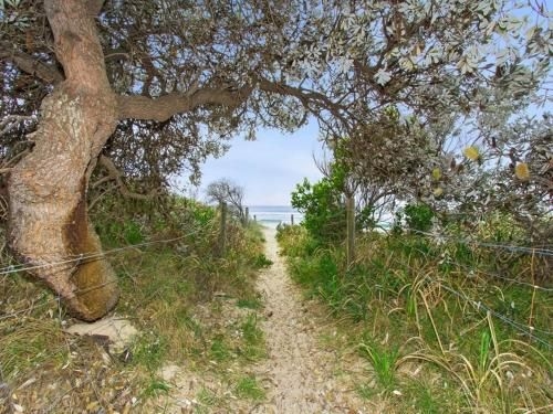 Shoreline 33