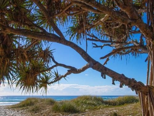 Silica Townhouse Kingscliff1