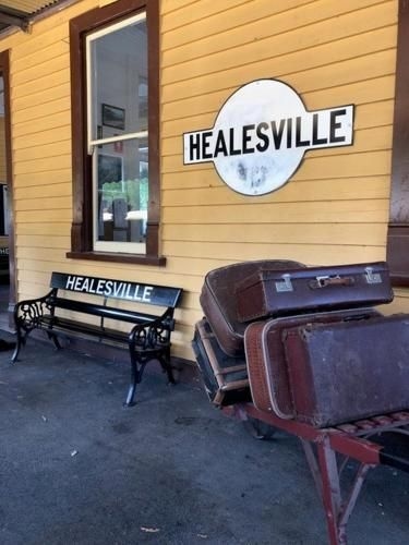 Mi Casa - Healesville3