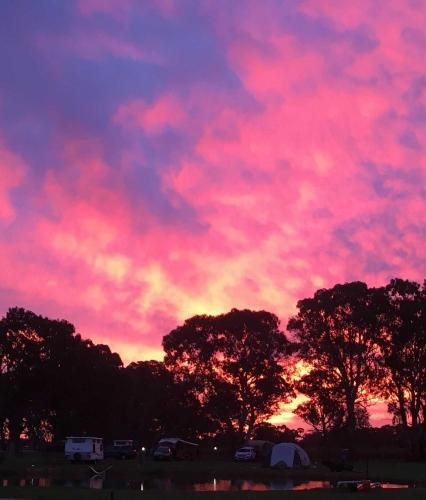 Coonawarra Bush Holiday Park3