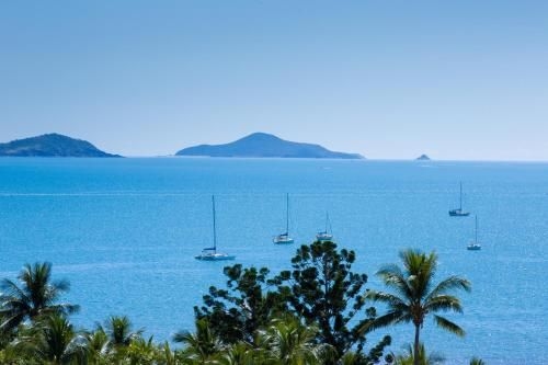 Ocean View Apartment 493