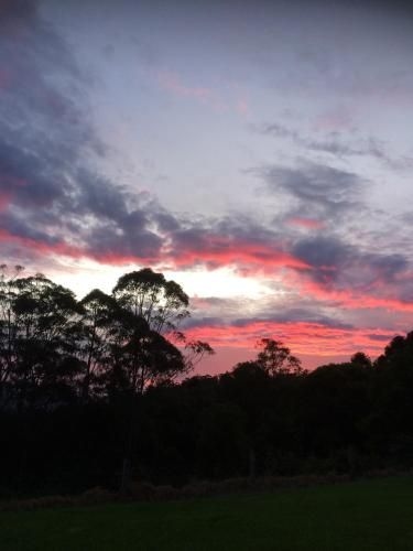 Maleny Luxury Cottages2