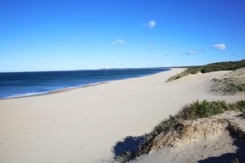 Aloha - Pet & Family Friendly - 10 Min Walk to Beach3